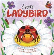 Little Ladybird