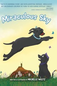 Miraculous Sky