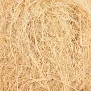 Natural Raffia