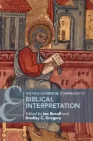 New Cambridge Companion To Biblical Interpretation