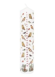 25cm x 5cm Winter Birds Pillar Advent Candle - Single