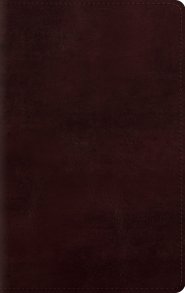 ESV Large Print Personal Size Bible TruTone®, Mahogany