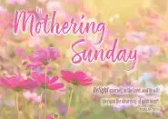 On Mothering Sunday - Postcard Pink (Pack of 24)