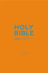 NIV Turquoise Pocket, Bible, Imitation Leather, Shortcuts to key stories, Reading plans, Book overview, Orange ribbon marker