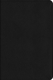 ESV Everyday Gospel Bible