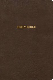 CSB Grace Bible, Brown Leathertouch