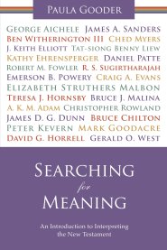 Searching for Meaning