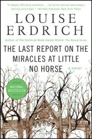 The Last Report on the Miracles at Little No Horse