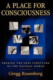 A Place for Consciousness