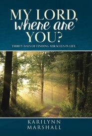 My Lord, Where are You?: Thirty Days of Finding Miracles in Life