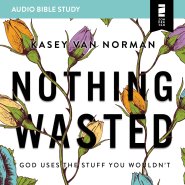 Nothing Wasted: Audio Bible Studies