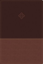 Amplified Study Bible, Imitation Leather, Brown