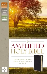 Amplified Thinline Holy Bible: Black, Bonded Leather