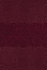 NIV Study Bible, Fully Revised Edition (Study Deeply. Believe Wholeheartedly.), Large Print, Leathersoft, Burgundy, Red Letter, Comfort Print