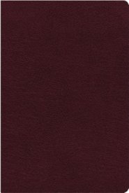 NIV, Biblical Theology Study Bible (Trace the Themes of Scripture), Bonded Leather, Burgundy, Thumb Indexed, Comfort Print