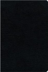 NIV, Biblical Theology Study Bible (Trace the Themes of Scripture), Bonded Leather, Black, Thumb Indexed, Comfort Print