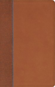 NIV, Quest Study Bible for Teens, Leathersoft, Brown, Comfort Print