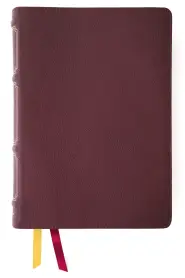 Nkjv, Thompson Chain-Reference Bible, Genuine Leather, Calfskin, Burgundy, Red Letter, Comfort Print