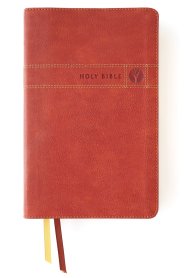 NIV Men's Devotional Bible, Leathersoft, Brown, Comfort Print