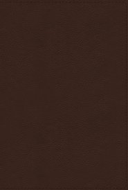 NRSVue, Holy Bible with Apocrypha, Leathersoft, Brown, Comfort Print