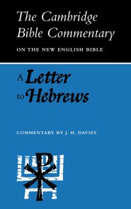 A Letter to Hebrews