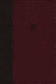 NKJV, Spirit-Filled Life Bible, Third Edition, Leathersoft, Burgundy, Red Letter, Comfort Print