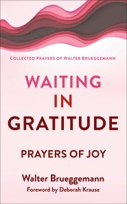 Waiting in Gratitude: Prayers for Joy