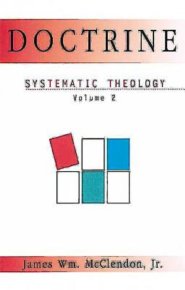 Systematic Theology Volume 2