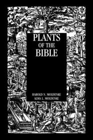 Plants of the Bible