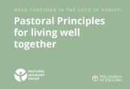 Pastoral Principles Cards