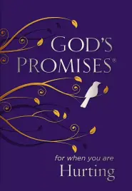 God's Promises for When You are Hurting