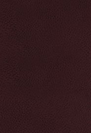 The King James Study Bible, Bonded Leather, Burgundy, Indexed, Full-Color Edition