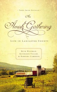 An Amish Gathering