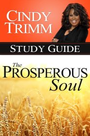 The Prosperous Soul Study Guide Paperback