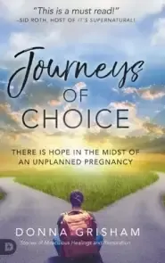 Journeys of Choice: There is Hope in the Midst of an Unplanned Pregnancy