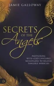 Secrets of the Angels: Partnering with God's Invisible Messengers to Release Tangible Miracles