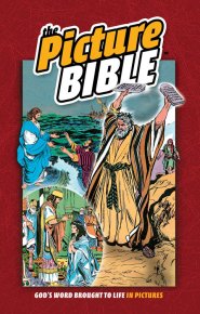 The Picture Bible