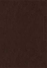 NIV, Lucado Encouraging Word Bible, Leathersoft, Brown, Comfort Print