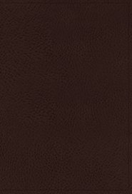 KJV, Minister's Bible, Leathersoft, Brown, Comfort Print