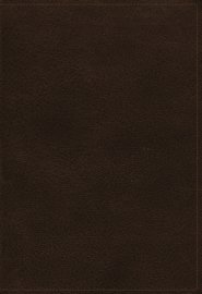 KJV Holy Bible: Large Print Verse-by-Verse with Cross References, Brown Genuine Leather, Comfort Print: King James Version (Maclaren Series)