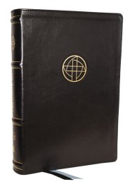 Life in Christ Bible: Discovering, Believing, and Rejoicing in Who God Says You Are  (NKJV, Black Leathersoft, Red Letter, Comfort Print)