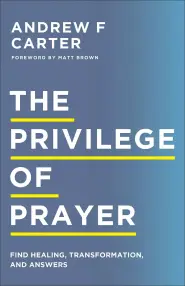 The Privilege of Prayer: Find Healing, Transformation, and Answers