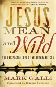 Jesus Mean and Wild