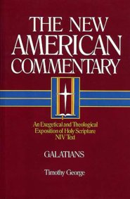 Galatians : Vol 30 : New American Commentary) 