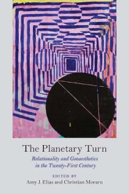 The Planetary Turn: Relationality and Geoaesthetics in the Twenty-First Century