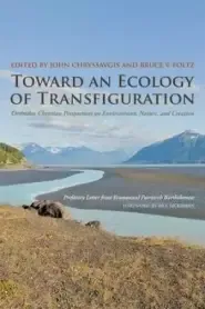 Toward an Ecology of Transfiguration