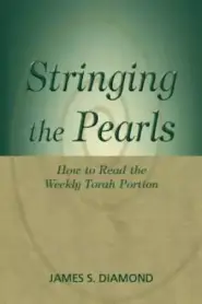 Stringing the Pearls: How to Read the Weekly torah Portion