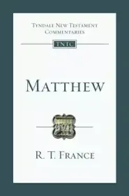 Matthew: An Introduction and Commentary Volume 1