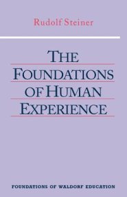 The Foundations of Human Experience