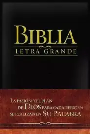 Large Print Bible